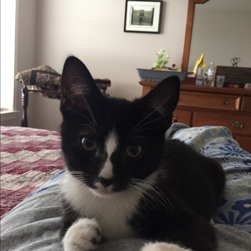 Meet your Posher, Cindy